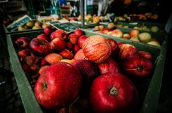 La période des pommes commence !